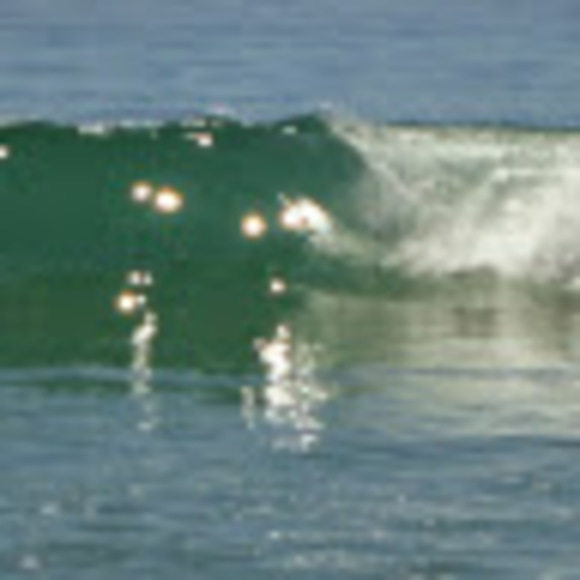 Meet your Posher, Brandy - Picture 1 of 1